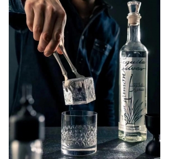 Silver 银色龙舌兰